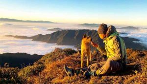 Bạch Mộc Lương Tử