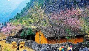 Bản làng của người dân tộc Hà Giang