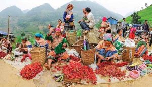 Chợ Phiên Tả Sìn Thàng