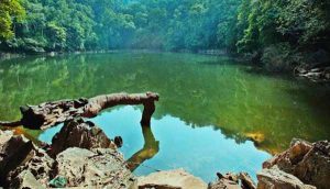 Khu bảo tồn thiên nhiên Kim Hỷ