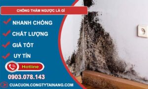 chống thấm ngược là gì