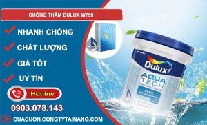 chống thấm dulux w759