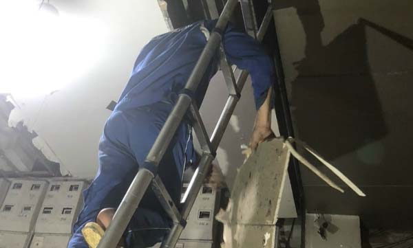 hiệu mô tơ cửa cuốn hl 800kg